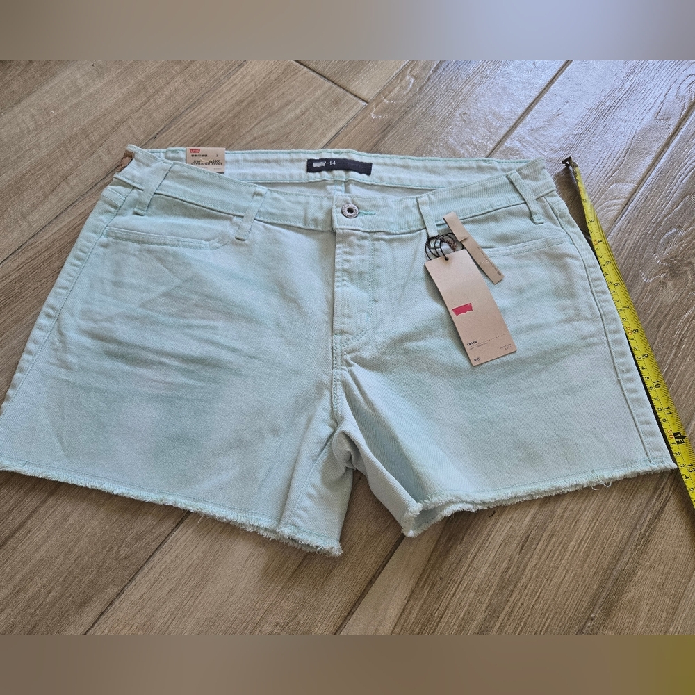 NWT Levi's Mint Tie Dye Shorts, 14